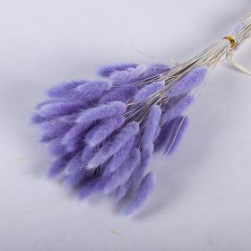 Dried Flowers Pampas Grass Mixed Bunny Rabbit Tail Lagurus Bouquet Wedding Christmas Decoration Natural Reed Flower Home Decora (Color: purple  rabbit tail)