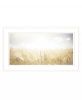 Fields of Gold Framed Print Wall Art
