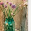 Set Of Two Country Sunflowers and Chives Framed Print Wall Art