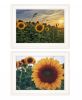 Set Of Two Midwest Living Print Wall Art