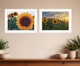 Set Of Two Midwest Living Print Wall Art (Framed: White, Style: 1)