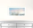 North Star at Rest Framed Print Wall Art